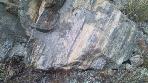 Гигантские зелёные валуны для ландшафтного дизайна весом более 5 тонн купить в Керчи