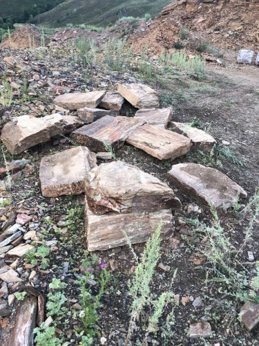 Плитняк кора дерева 50-100мм для пошаговых дорожек купить в Керчи